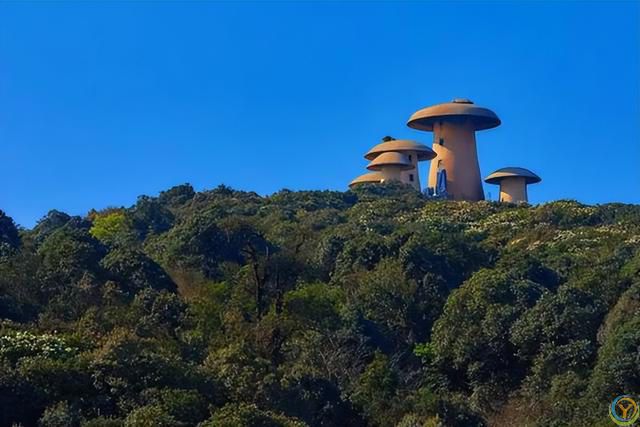 昆明自驾游精选：揭秘最佳旅行目的地