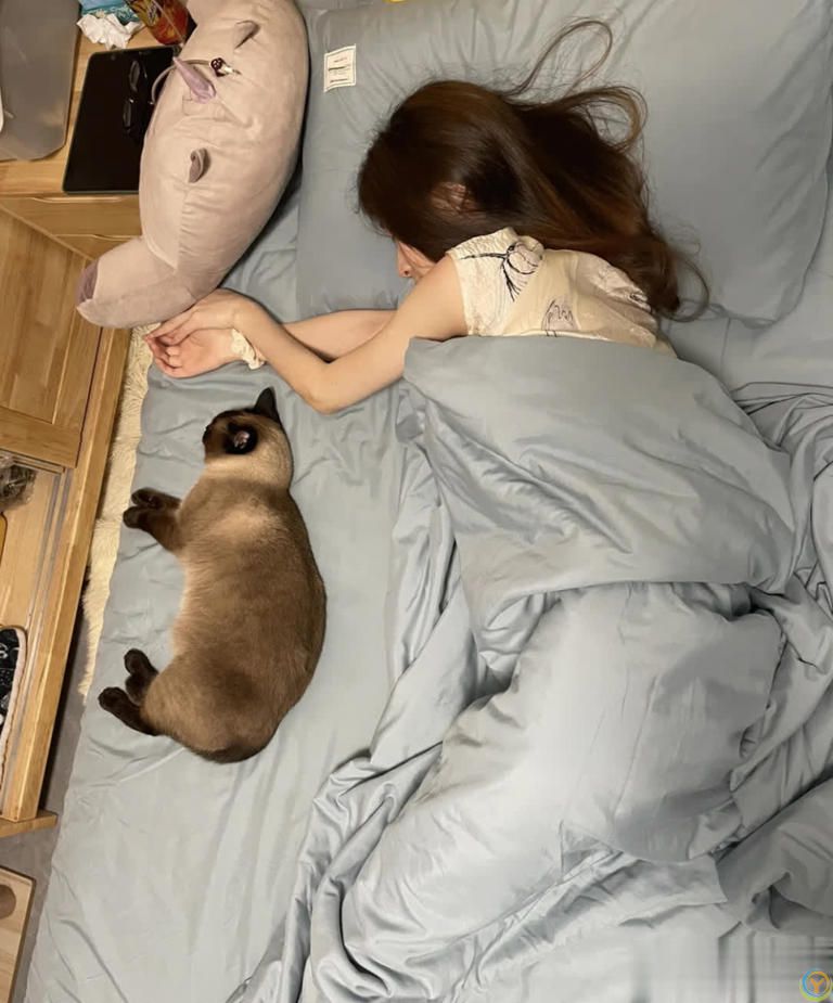 猫咪“喜欢”上床睡的8个原因，不是它怕冷，真正原因你知道吗