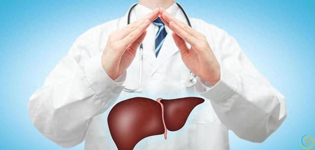 适合夏天吃的五种水果，养肝补血，来挑选自己喜欢的吧！