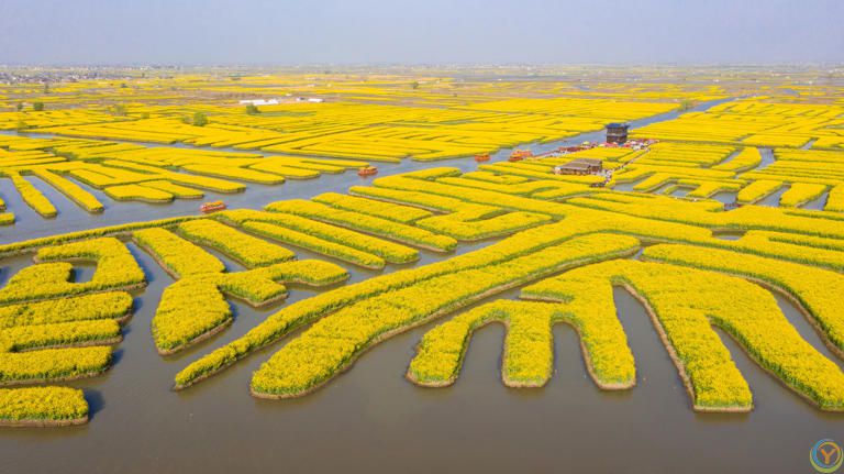 泰州景点排行榜，江苏泰州必去的10个地方，全部去过才算真正玩转泰州~