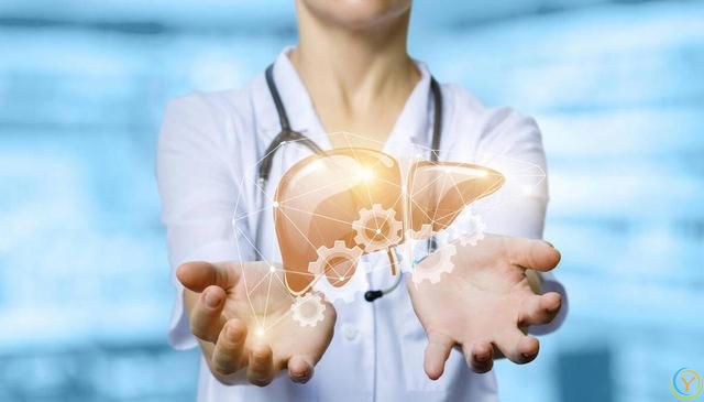 适合夏天吃的五种水果，养肝补血，来挑选自己喜欢的吧！