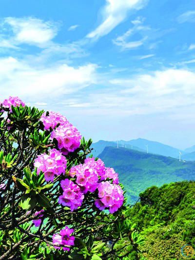 重庆武隆岩溶国家地质公园：聆听三亿年的自然交响