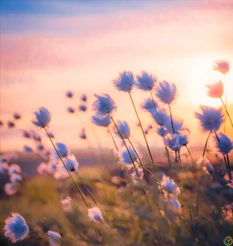 放慢脚步，静下心来，细细品味