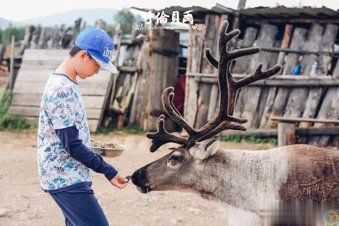 呼伦贝尔草原旅游，有哪些值得去的景点，本地人推荐！