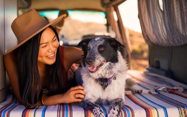 狗狗的睡姿大揭秘：看它睡哪，就知道它有多爱你！