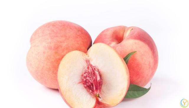 适合夏天吃的五种水果，养肝补血，来挑选自己喜欢的吧！