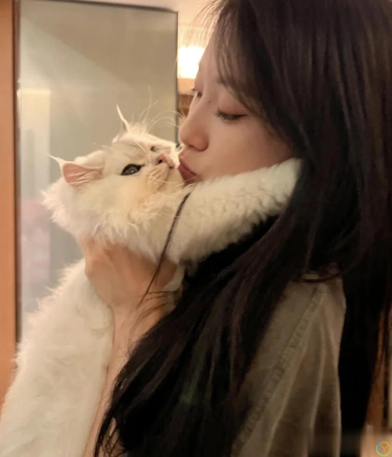 猫咪“喜欢”上床睡的8个原因，不是它怕冷，真正原因你知道吗