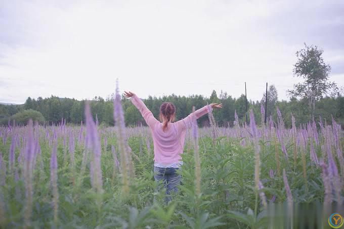 呼伦贝尔草原旅游，有哪些值得去的景点，本地人推荐！