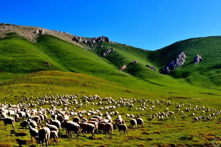 五月去哪玩？推荐九色甘南8个小众又绝美的旅行地，出行不扎堆！