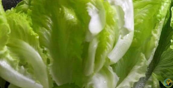 生菜这样吃才最香，10分钟上桌，脆嫩多汁谁都爱？