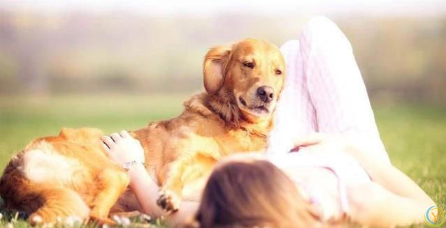 新狗到家不听喊？四招让它秒认名字！