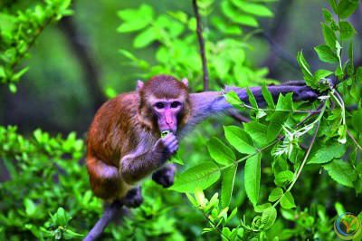 重庆武隆岩溶国家地质公园：聆听三亿年的自然交响