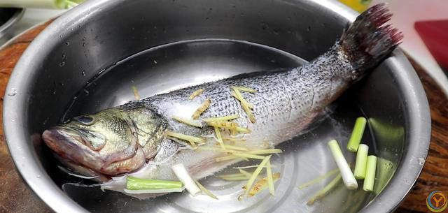 年纪大了多吃这3种肉，高蛋白易消化，比牛肉强，夏天常吃身体棒