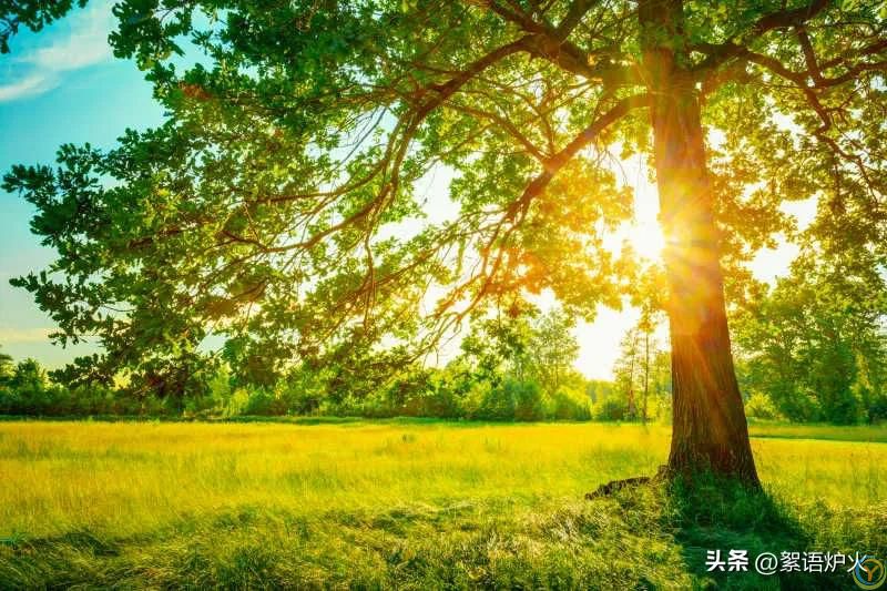 人性阴暗面！这18条你一定要狠狠记住！