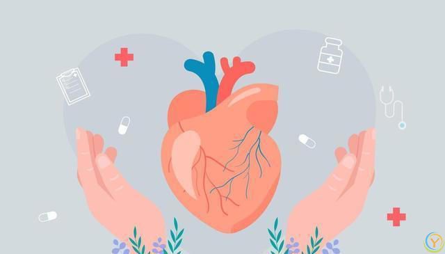 想长命，人到老年，就要学会如何保养心脏，这5点不容忽视