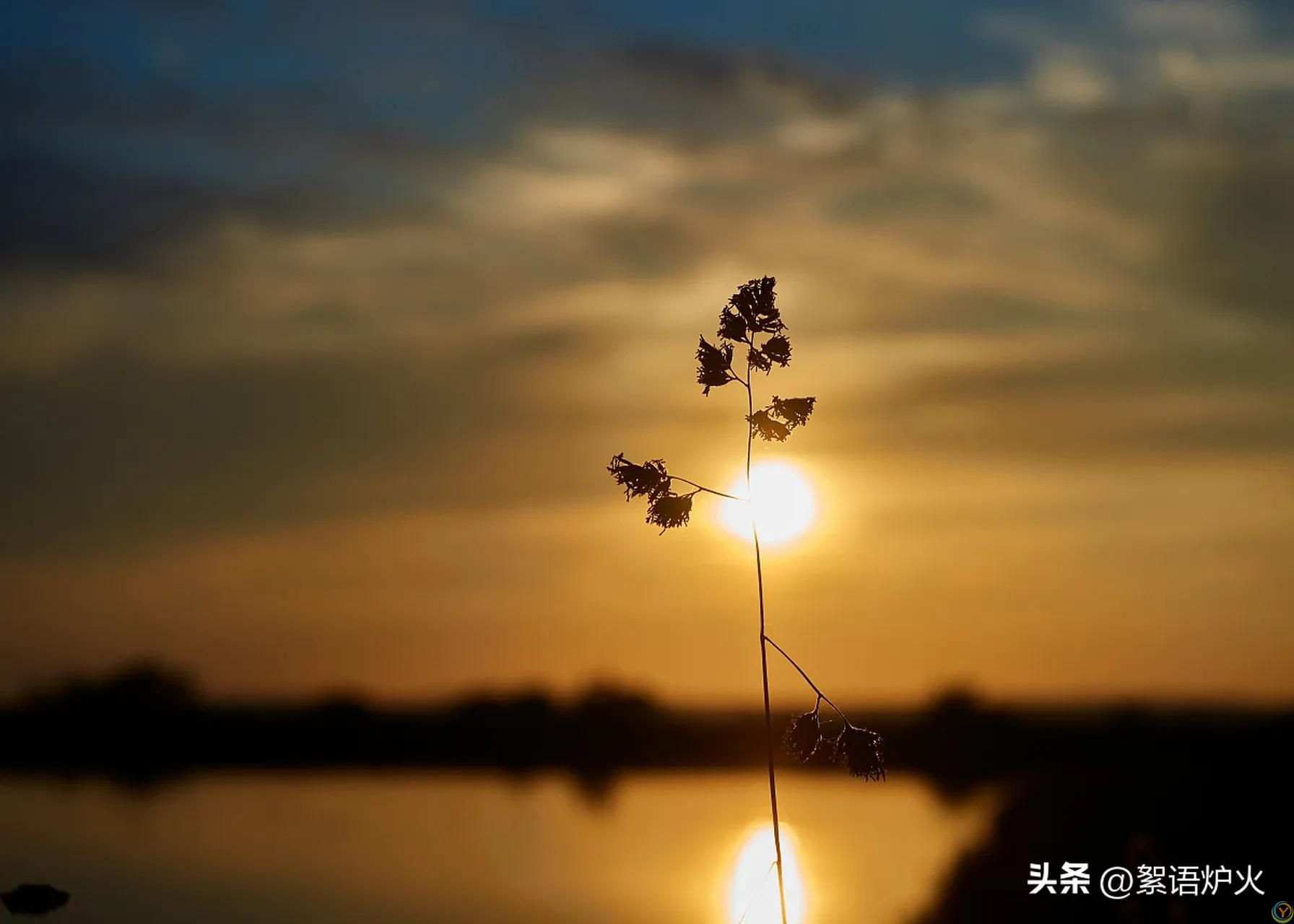 在单位，吃不开的人，都有这些特质