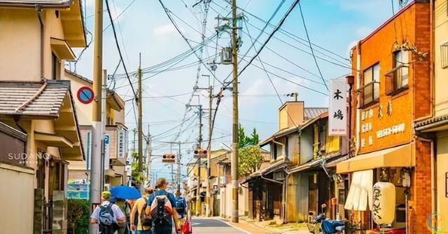 到底是生命在于运动，还是静止让人长寿？世界卫生组织给出了答案