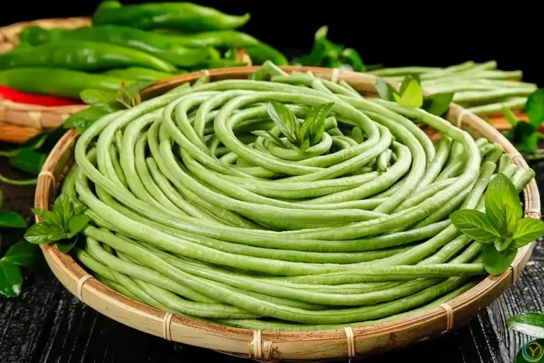 这菜正当季，高钾高叶酸，中老年多吃它，腿脚有力气，越吃越健康