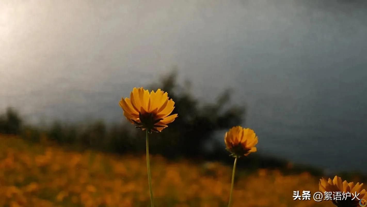 再忙也要背下这首诗：做一个有德之人，好运和福气自然会接踵而来