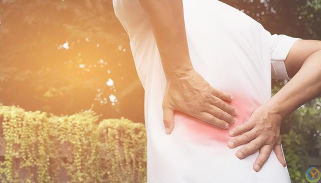 到底是生命在于运动，还是静止让人长寿？世界卫生组织给出了答案