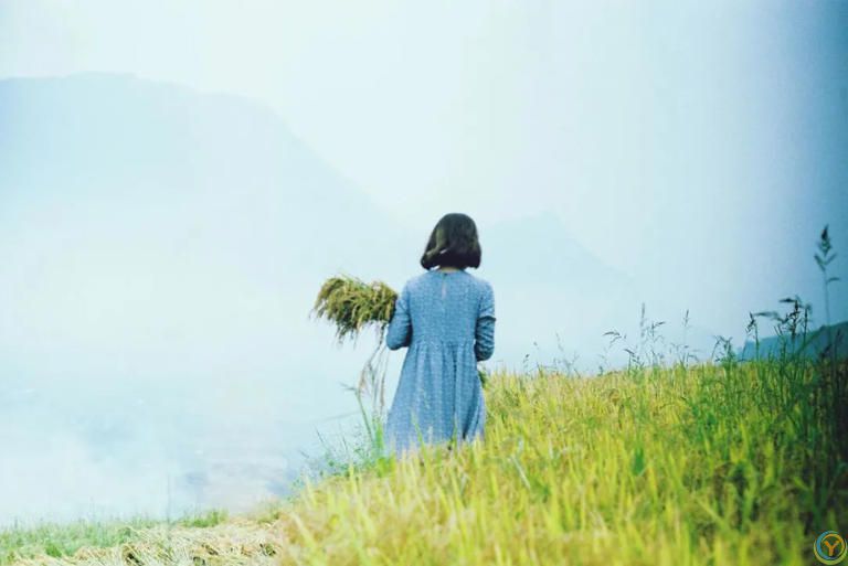 中年女人自救三件事：翻脸，翻篇，翻书