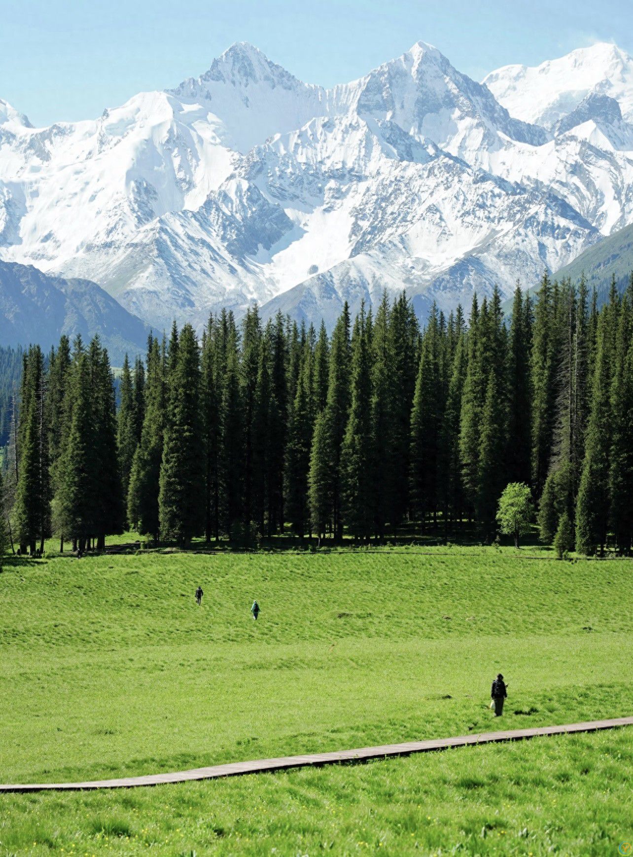 7月必去！新疆这个20℃的避暑秘境，夏天美得像上帝打翻调色盘！