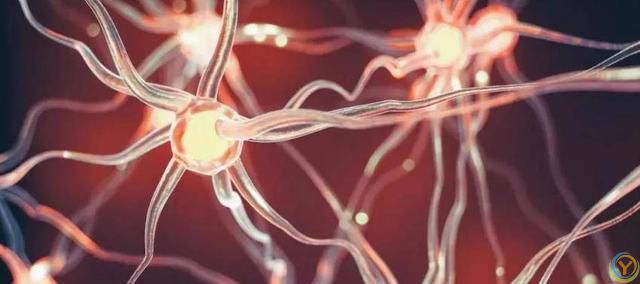 到底是生命在于运动，还是静止让人长寿？世界卫生组织给出了答案