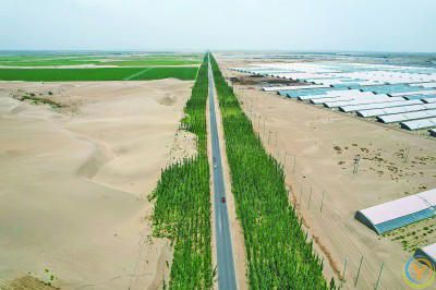 沙海披绿甲 荒漠掘金山