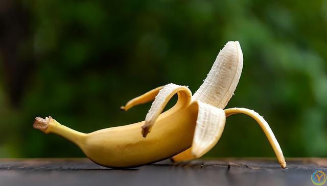 猫咪能否吃香蕉？营养益处与喂养注意事项全解析