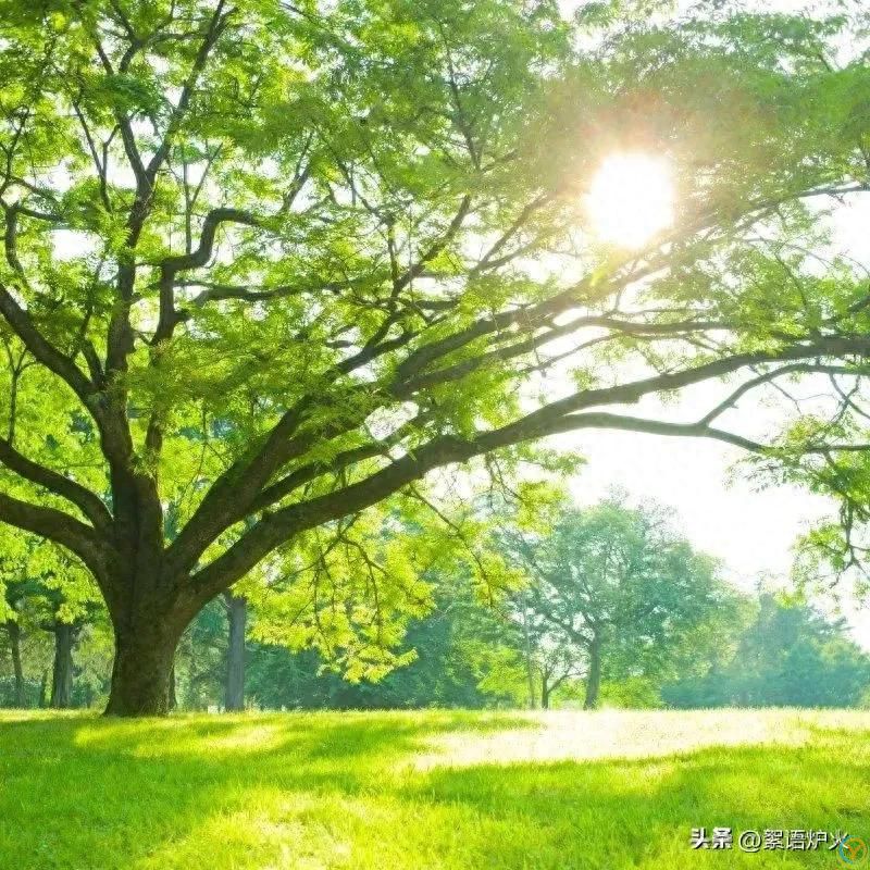 两个人有没有缘分，一看便知：有缘分的两人，往往都有这6种表现