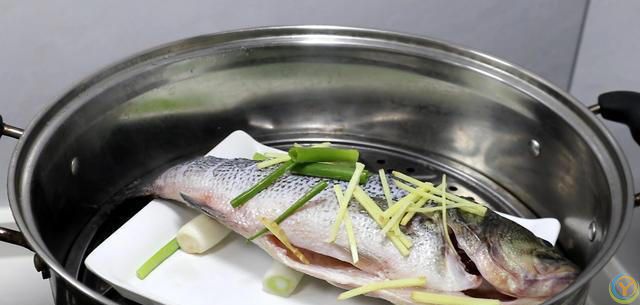 年纪大了多吃这3种肉，高蛋白易消化，比牛肉强，夏天常吃身体棒