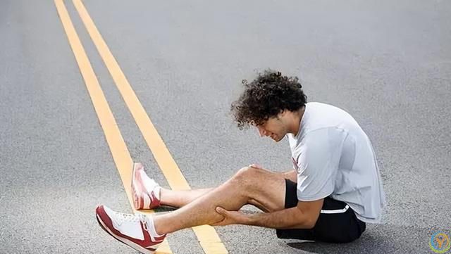 到底是生命在于运动，还是静止让人长寿？世界卫生组织给出了答案