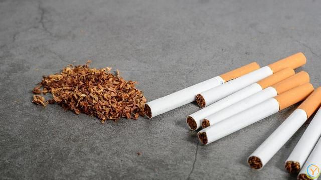 想长命，人到老年，就要学会如何保养心脏，这5点不容忽视