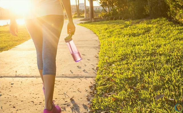 到底是生命在于运动，还是静止让人长寿？世界卫生组织给出了答案