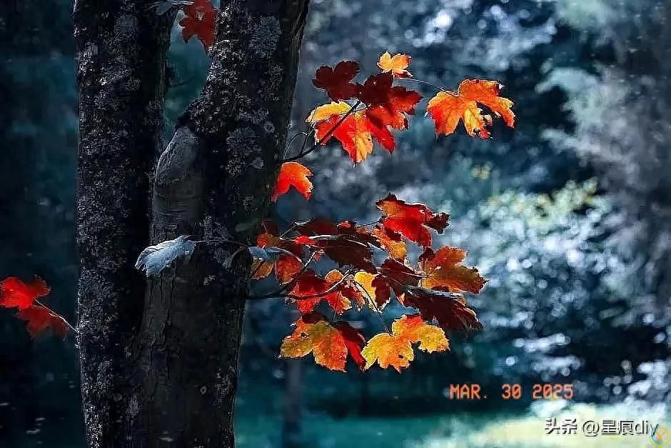 异性之间有这4种表现，说明很暧昧