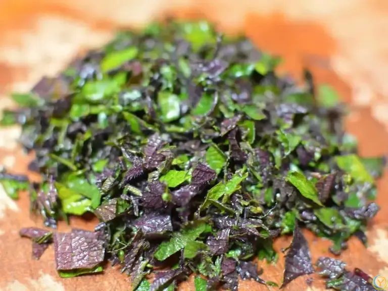 夏至后使劲吃，一开胃，二消炎，三护心，四去湿，随手一炒特别香