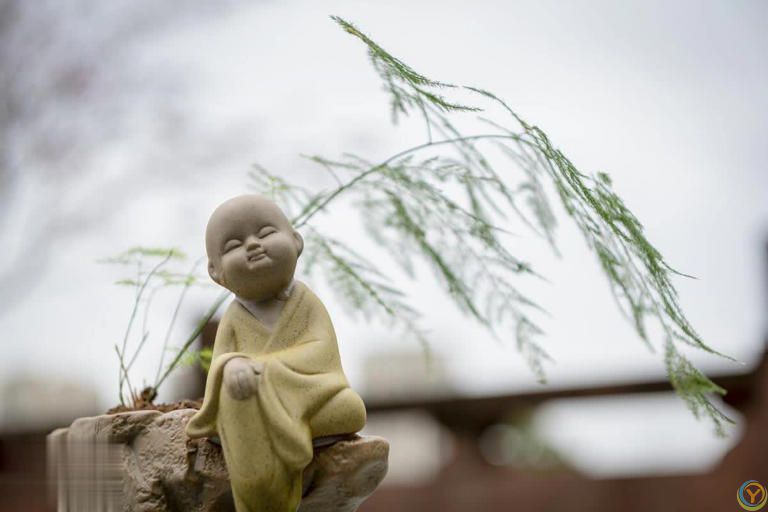 做最好的自己，其他交给命运！