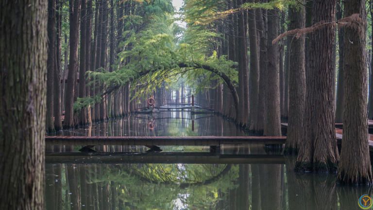 泰州景点排行榜，江苏泰州必去的10个地方，全部去过才算真正玩转泰州~