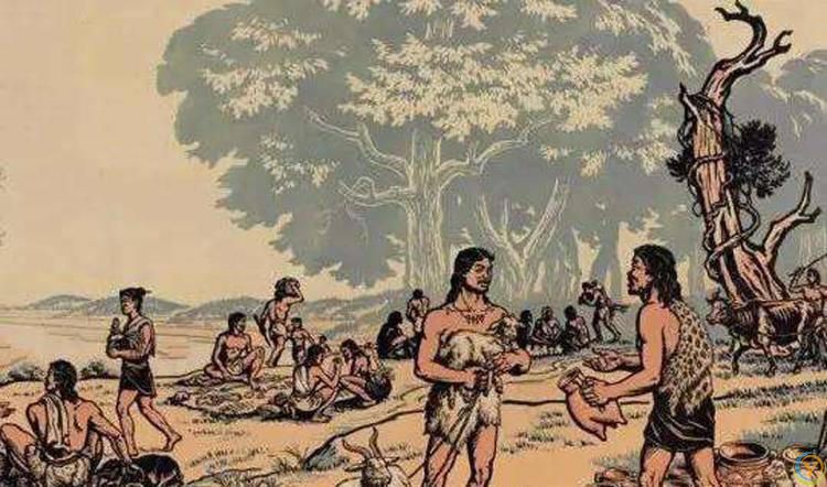 狗是由狼驯化过来的吗？答案来了！