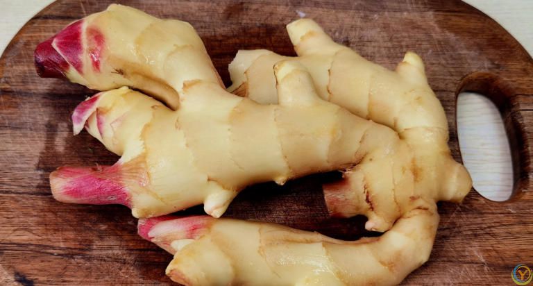 生阳气的3种食物，夏至后常吃，脾胃好了，越吃越健康，轻松度夏