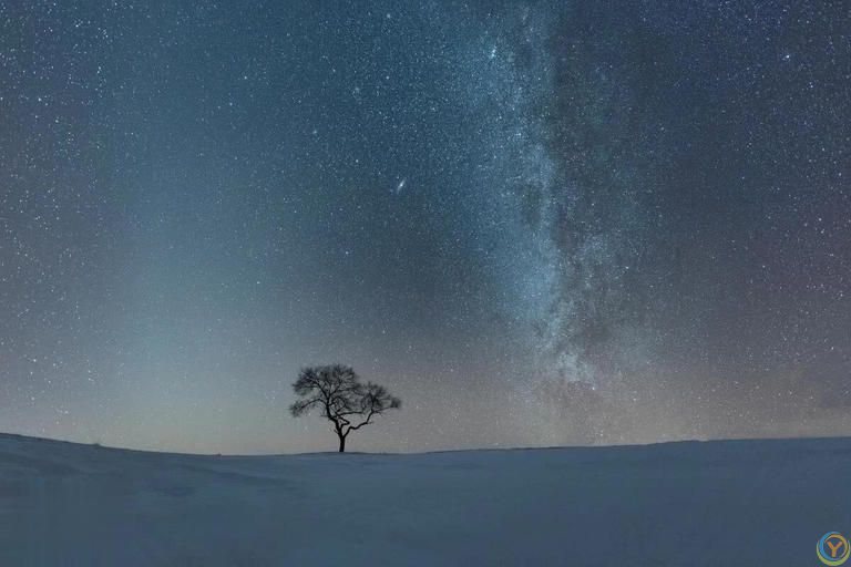 做最好的自己，其他交给命运！