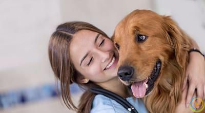 训练萌宠的5个方法，让它们成为我们的好伙伴