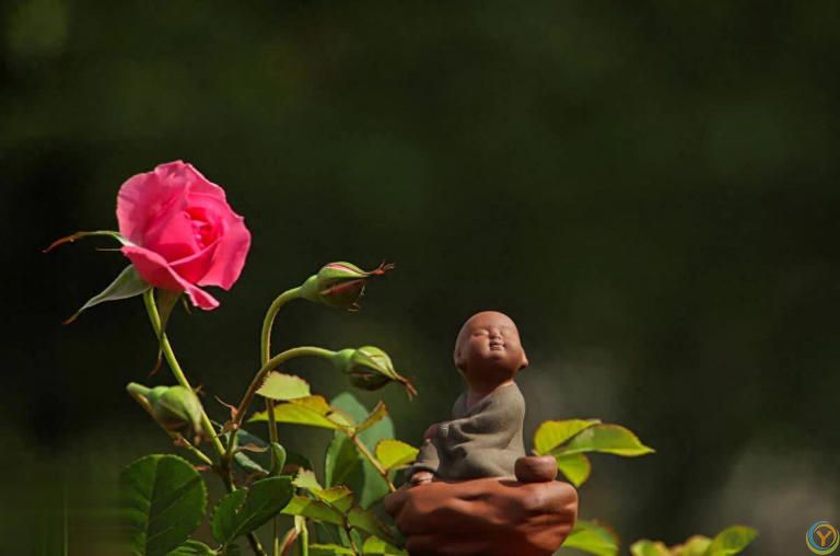 做最好的自己，其他交给命运！