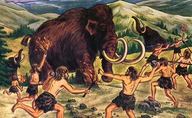 狗是由狼驯化过来的吗？答案来了！