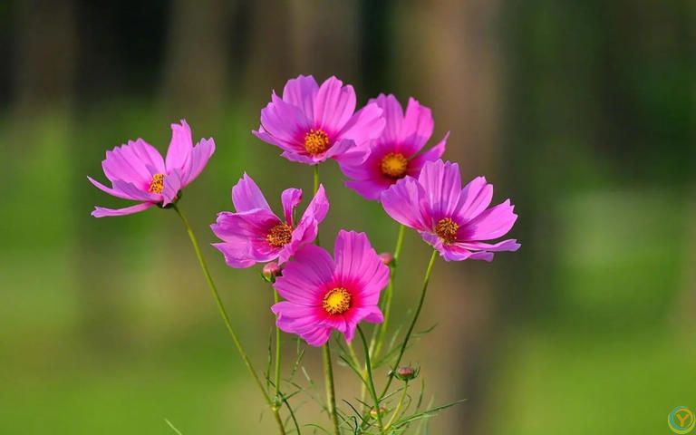 人生就是一个长期积累的过程，只有靠积累才能够成就大事