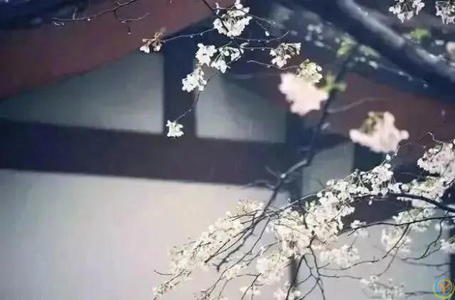 成大事者，都有这3种***心态