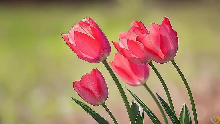 人生就是一个长期积累的过程，只有靠积累才能够成就大事