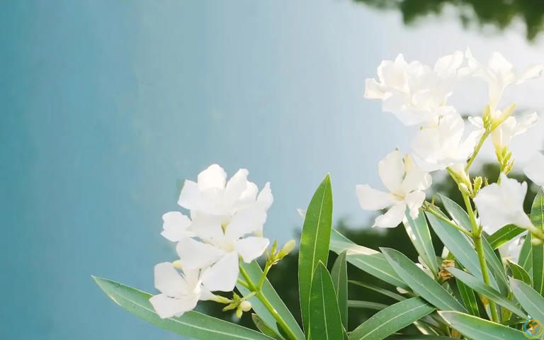 生活真相：只要活着，人生难免坎坷