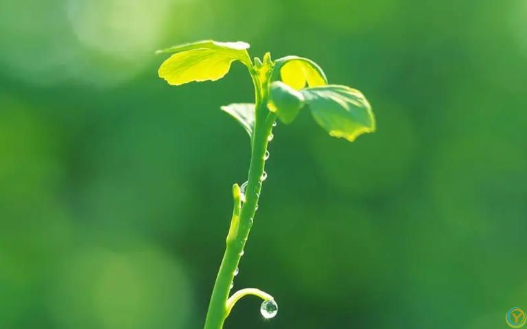 生活真相：只要活着，人生难免坎坷