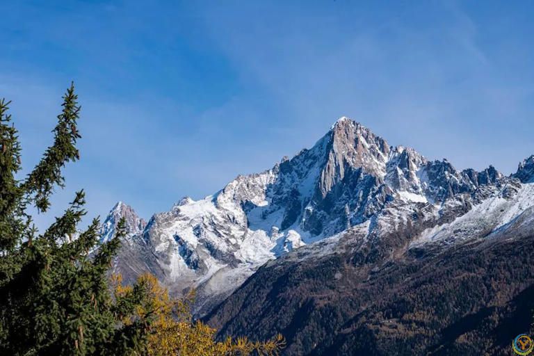 一个人最了不起的能力：懂得退出